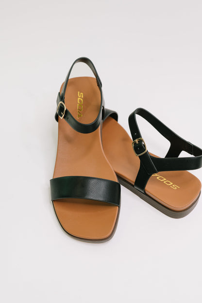 Pair of black and brown sandals on a white background
